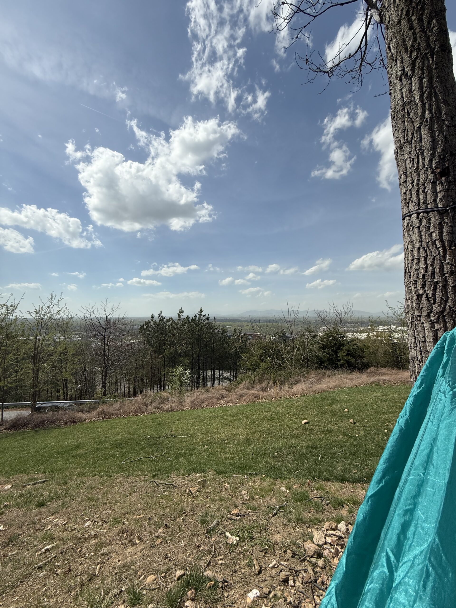 Featured image for “Hammock Season”